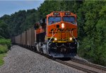 BNSF 9687 South